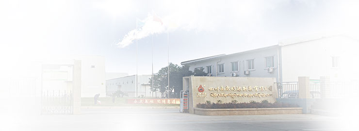 公司簡介